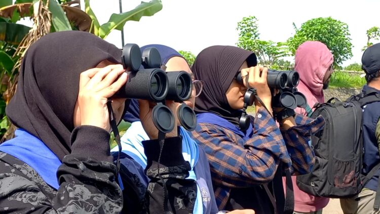 Ribuan Burung Migrasi dari Rusia-Cina ke Tulungagung, Mahasiswa dan BKSDA Lakukan Pengamatan