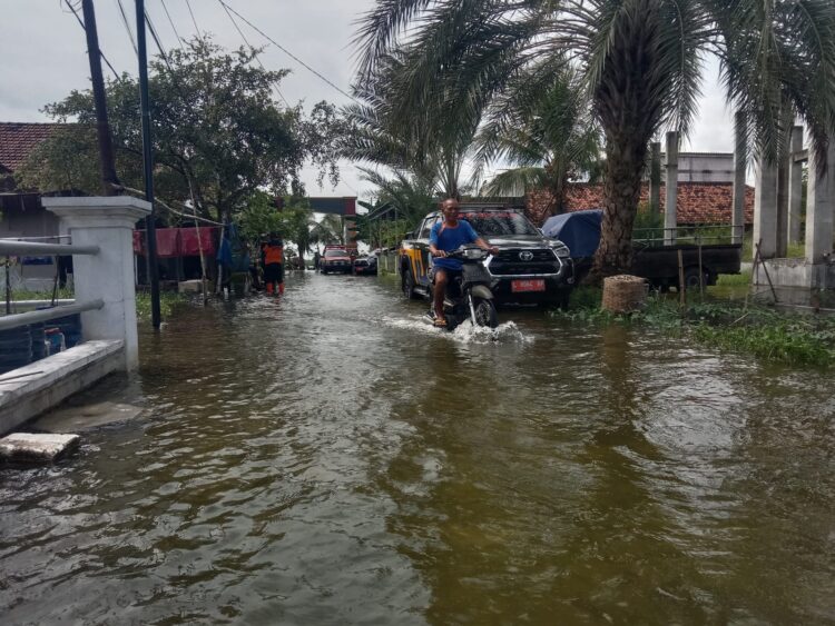 Banjir Bengawan Jero Rendam Ribuan Rumah, Pemkab Lamongan Tetapkan Status Darurat