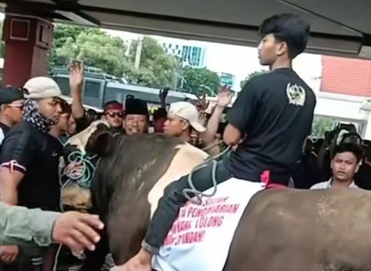 Jagal dan Pedagang Daging Surabaya Tolak Relokasi Rumah Potong Hewan