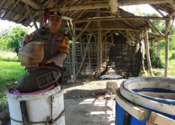 Praktik Sabung Ayam di Persawahan, Polisi Lamongan Amankan Barang Bukti