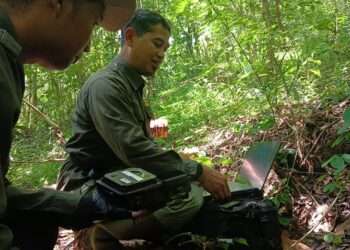 Landak Jawa hingga Monyet Ekor Panjang Masih Bertahan di Hutan Kota Trenggalek