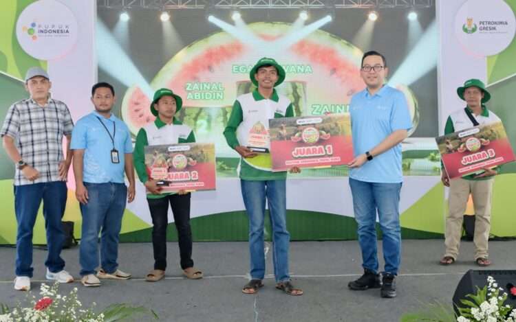 Petrokimia Gresik Dorong Produktivitas Semangka di Musim Hujan, Hasil Panen Tembus 63 Ton