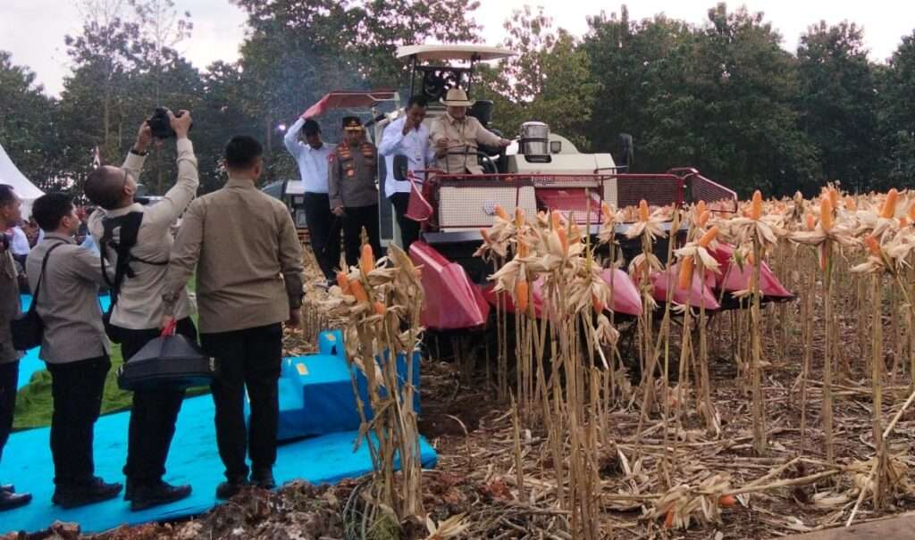 Presiden Prabowo Panen Raya Jagung di Tuban, Ketahanan Pangan Kunci Keamanan Negara