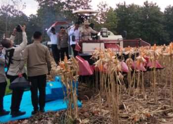 Presiden Prabowo Panen Raya Jagung di Tuban, Ketahanan Pangan Kunci Keamanan Negara