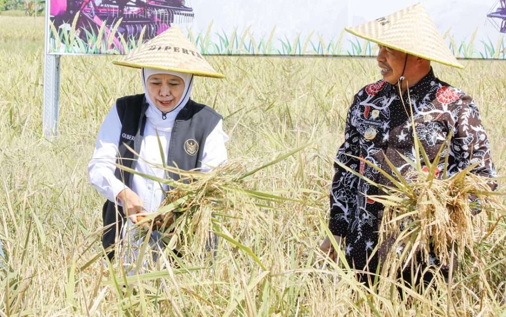 Stabilkan Produksi Padi, Jatim Percepat Penyaluran Pupuk Subsidi ke Petani